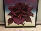 Thin Lizzy Black Rose 1979 LP Vinyl VG w/inner sleeve (Aus 1st Press) 6360 169