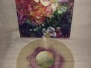 The Stargazer Lillies We Are The Dreamers Grave face 240/300 Clear Purple Vinyl