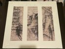 Shadow Age LP postpunk night sins asylum party and also the trees