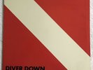 VAN HALEN “DIVER DOWN“ 1982LP, WARNER BROS BSK 3677, DAVID LEE ROTH, NEAR MINT 1