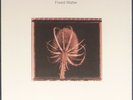 Sophia - Fixed Water on Black vinyl. 2018 edition. The God Machine.