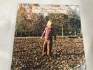 ALLMAN BROTHERS BAND BROTHERS AND SISTERS CAPRICORN INSERT 1973 EX/VG+