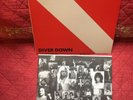 Van Halen Original OG DIVER DOWN RECORD VINYL BSK-1-3677 INNER SLEEVE Dancin