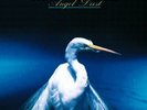 Faith No More - Angel Dust (Deluxe Edition) [VINYL]