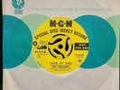 PSYCH 45 - The Sunliners - Land Of Nod - Mgm Promo M- HEAR