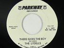 Doo-Wop 45 - Lydells - There Goes The Boy - Parkway - mp3