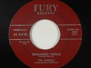 Doo-Wop Teen 45 - Kodoks - Teenagers Dream - Fury - VG++ mp3