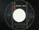 Garage Fuzz 45 - Us Four - The Alligator - Rising Sons - mp3