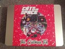 Cats in space Catmas Tin and Acousticat Lanyard