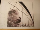 Pearl Jam ?– Vs. - Vinyl LP 2011