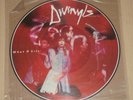 Divinyls ?-What A Life - LP Picture Disc, Promo  Chrysalis ?(207 638-000)