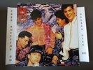 NEW KIDS ON THE BLOCK STEP BY STEP 1990 MEXICO ISSUE LP W/ ORIG INNER DMI-466686
