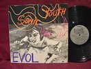Sonic Youth 'EVOL' LP W/Insert