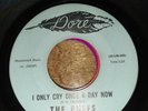 Rare Northern  THE PUFFS   I Only Cry Once A Day Now / Moon Out There  DORE 757