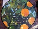 LANA DEL REY: VIOLET BENT BACKWARDS OVER THE GRASS LP Vinyl Picture Disc Ltd Ed