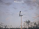Cluster & Eno [VINYL]