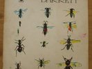 Syd Barrett BARRETT Vinyl (early 70s) SHSP 4007 A-1G/B-1G