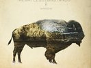 HEARTLESS BASTA-ARROW VINYL LP NEW