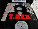 PROMO 1972 Orig T-REX   THE SLIDER   MARC BOLAN GLAM SPACE BOOGIE   METAL GURU
