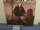 Fat Joe - Represent LP