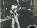 Neil Young Greatest Hits 200g 2LP from the Michael Hobson Archives