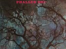 AMON DÜÜL II - PHALLUS DEI - DE 80 - NM