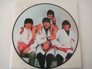 THE BEATLES  yesterday and today   / LP  picture disc 