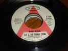 Sly & the Family Stone Underdog / Bad Risk RARE dj PROMO Funk EPIC