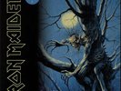 Iron Maiden Fear Of The Dark + Sticker... UK 2-LP  (Double )
