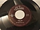 RARE HOLLYWOOD 1958 ROCKABILLY 45 KIP TYLER  on CANADA SPARTON ''JUNGLE HOP'' M-