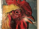 Pavement Watery Domestic Indie LP EP Matador Original vinyl No Barcode 1992 rare