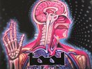 TOOL LATERALUS 2 X LP COLOR