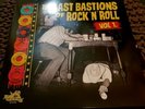 LAST BASTIONS OF ROCK N' ROLL - RARE GREASY ROCK N' ROLL, ROCKABILLY & GARAGE LP