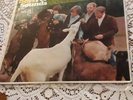 the beach boys pet sounds lp mono 1966