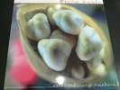FIONA APPLE EXTRAORDINARY MACHINE 2 x VINYL LP PLAIN  2011 EX+ RARE PLAYS GREAT