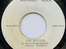 Leroy Wallace - Far Beyond / Far Beyond Ver - The New Establishment - Bongo Man