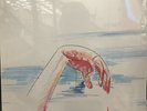 Matt Sweeney And Bonnie 'Prince' Billy ?– Superwolf Vinyl LP