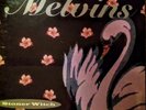 Melvins stoner witch vinyl