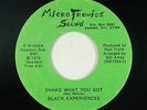 Funk Disco/Sweet Soul 45 - Black Experiences - Shake What You Got - Microtronics