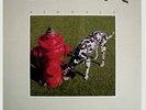 Rush - Signals  RARE Original 1982 Canadian Anthem Masterdisk Vinyl LP (Mint )