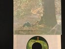 John Lennon Mother / Why 45 RPM Vinyl Record Picture Sleeve Plastic Ono Beatles