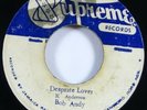 Bob Andy/Shine & Bagga 