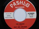 Funk 45 CALIF. SOUL EXPLOSION The Feeling PASHLO VG++/NM HEAR *