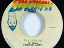 Horace Andy 