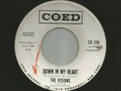 DOOWOP bw ROCKER- VISIONS - DOWN IN MY HEART -  HEAR -1964 PROMO COED