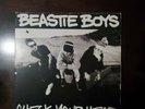 BEASTIE BOYS Check Your Head, 2 x Vinyl, 1992, Original.