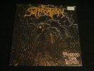 SUFFOCATION PIERCED FROM WITHIN LP purple   VINYL MINT SEALED GORGUTS CYNIC RARE
