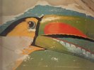 Jane Sign No 9 NEAR MINT Brain Vinyl LP