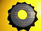 DEMENS TAKE ME AS I AM YOU BROKE MY HEART TITTYSHAKER TEENAGE 1006  DOO WOP 45