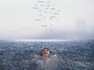SHAWN MENDES WONDER PRESALE BLACK VINYL LP OUT 4th DECEMBER